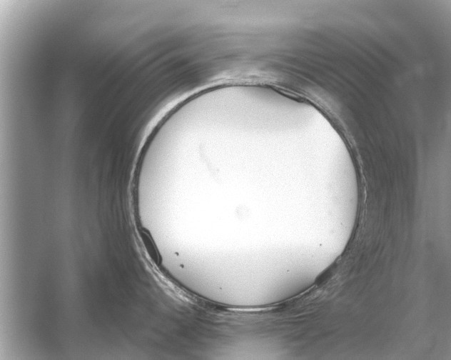 X0000056031344200509170026