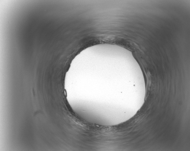 X0000056031345200509170026