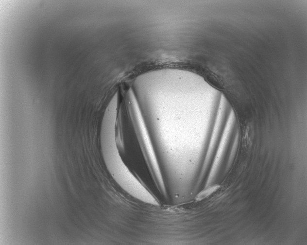 X0000056031348200509170026