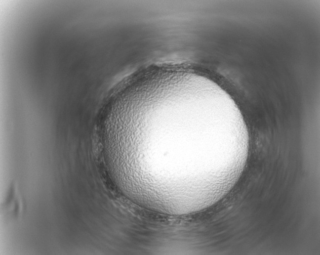 X0000056031350200509170026