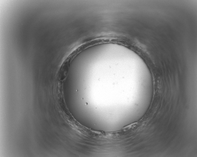 X0000056031352200509170026