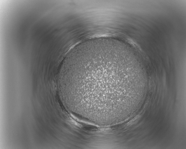 X0000056031353200509170025