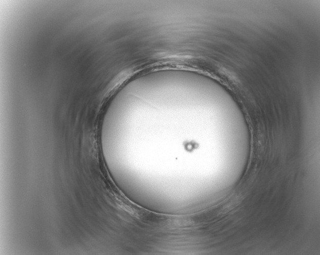 X0000056031354200509170025