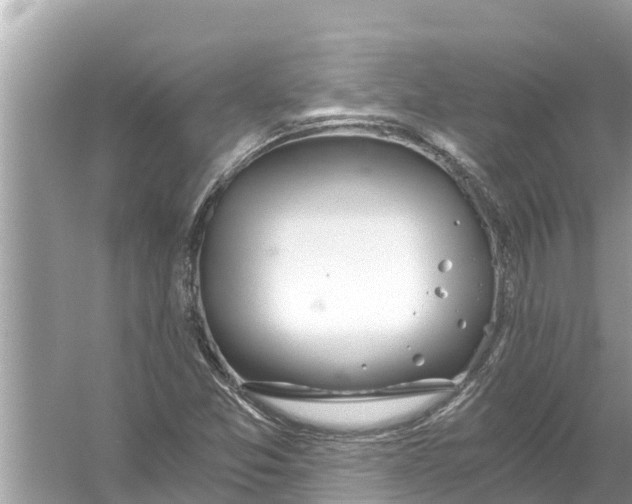 X0000056031357200509170025