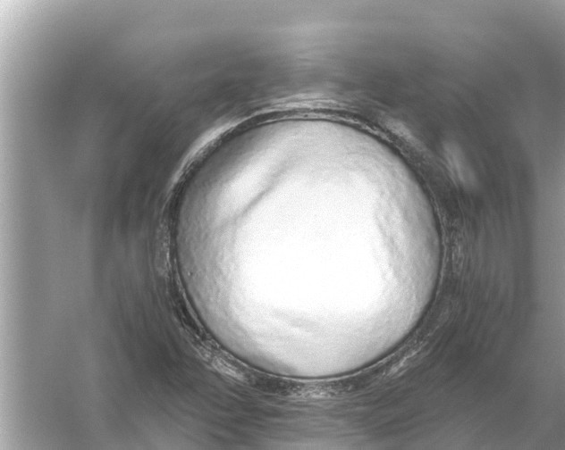 X0000056031358200509170025