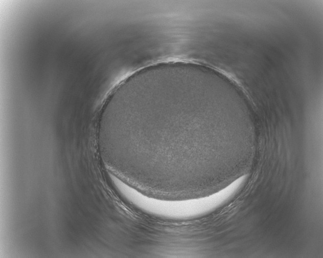 X0000056031359200509170025