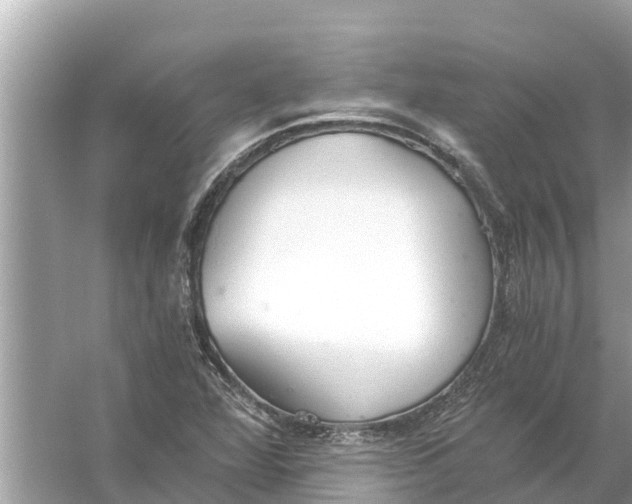 X0000056031360200509170025