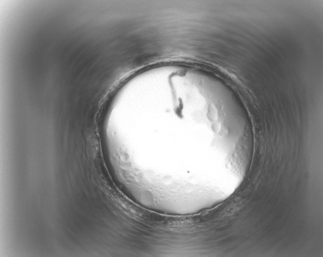 X0000056031363200509170025