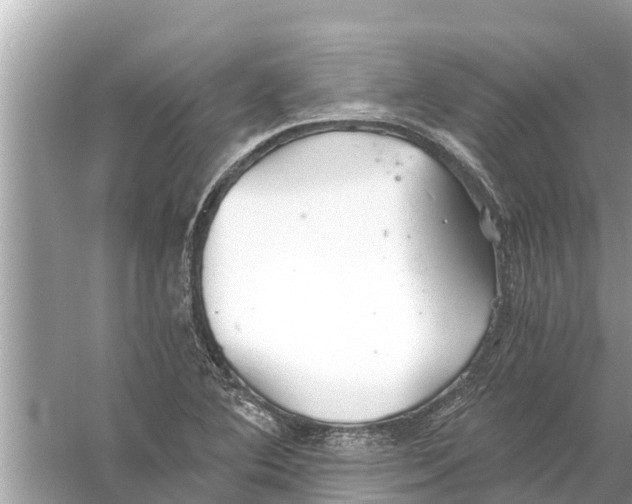 X0000056031364200509170025