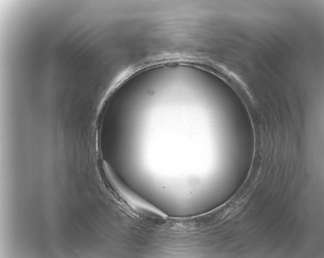 X0000056031365200509170025