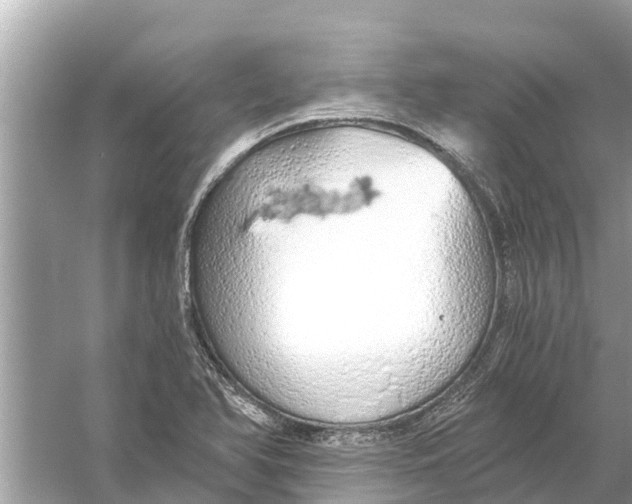 X0000056031366200509170025