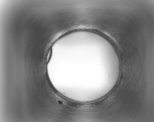 X0000056031367200509170025