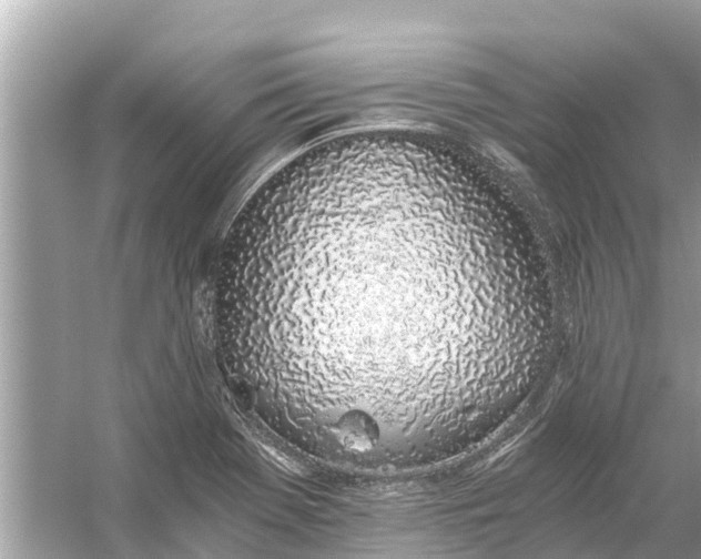 X0000056031369200509170025