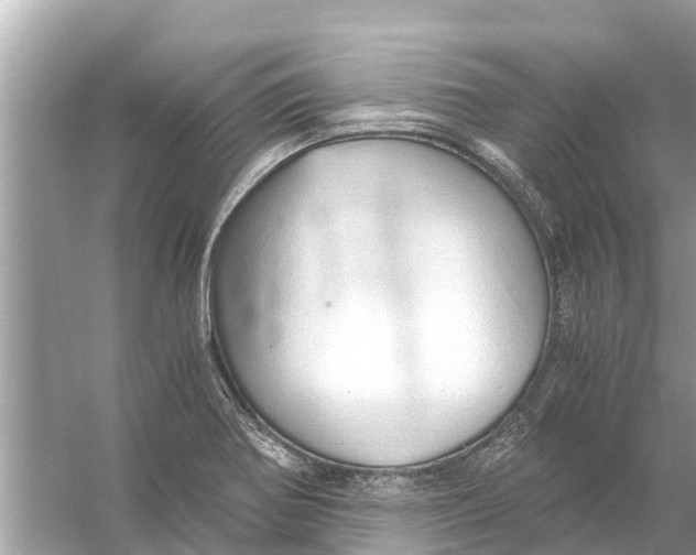 X0000056031370200509170025