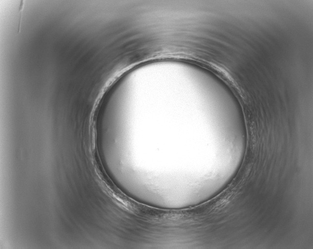 X0000056031371200509170025