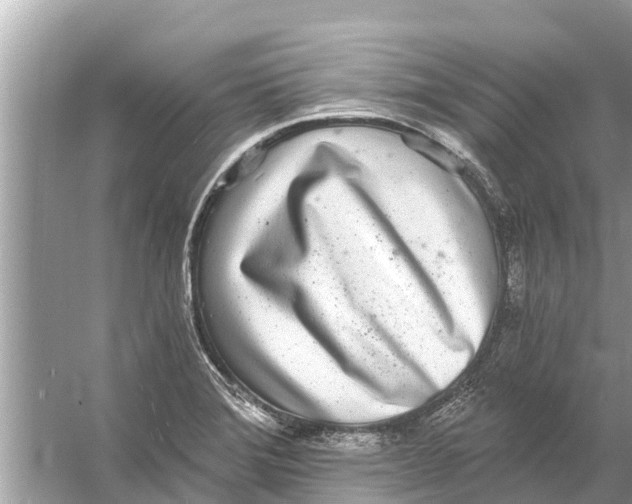 X0000056031372200509170025