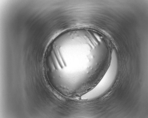 X0000056031373200509170025