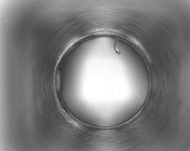 X0000056031376200509170025