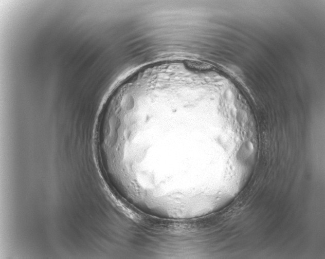 X0000056031379200509170025