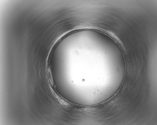 X0000056031380200509170025