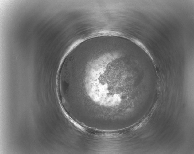 X0000056031381200509170025