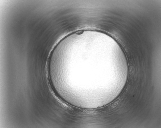 X0000056031382200509170025