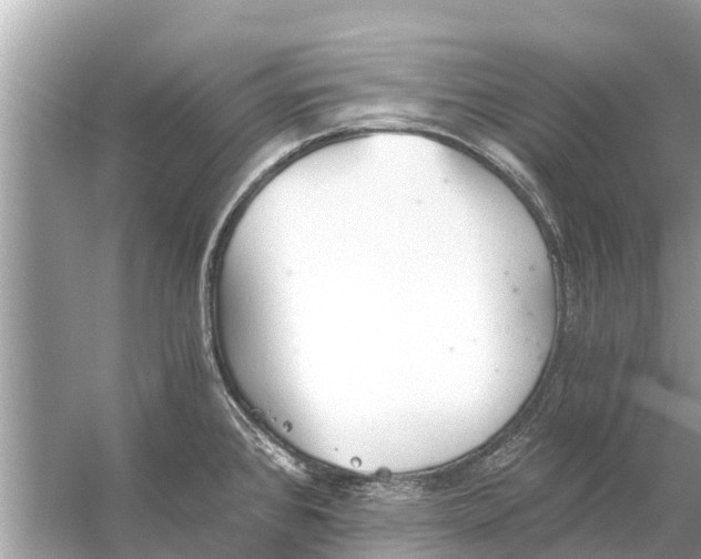 X0000056031384200509170025