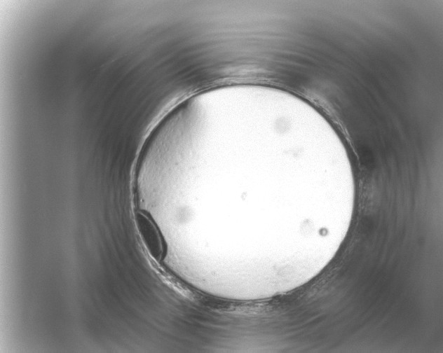 X0000056031386200509170025