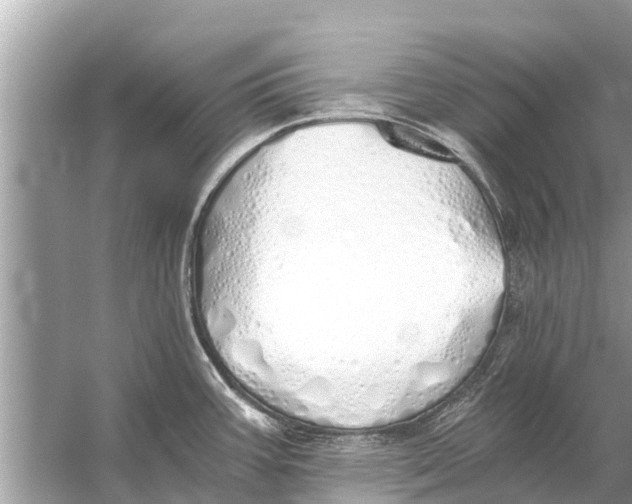 X0000056031387200509170025