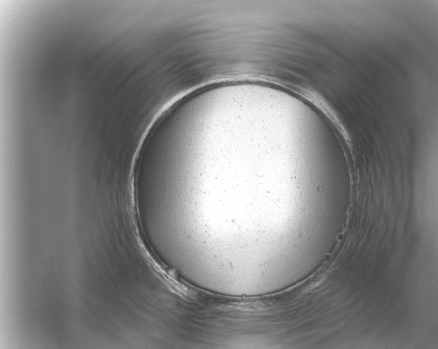 X0000056031388200509170025