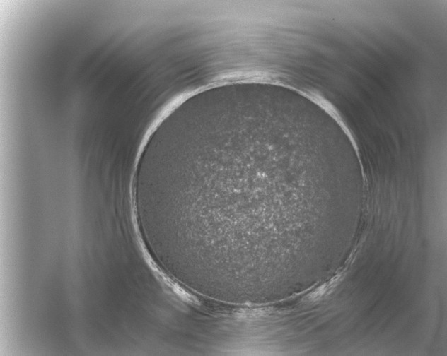 X0000056031389200509170025