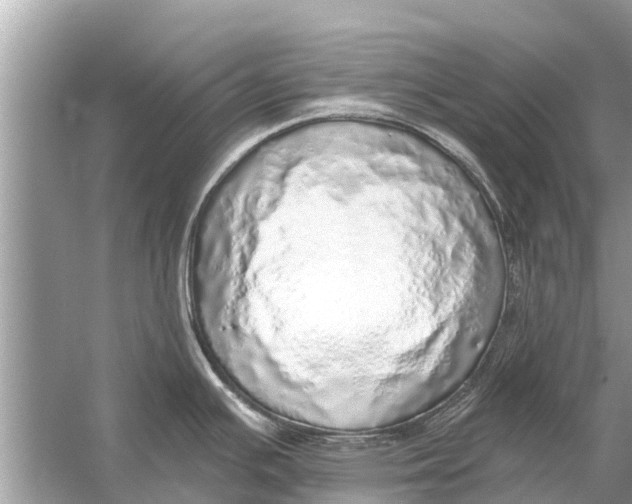 X0000056031391200509170025