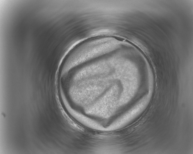 X0000056031392200509170025