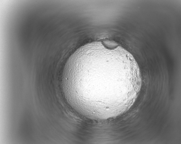 X0000056031393200509170024