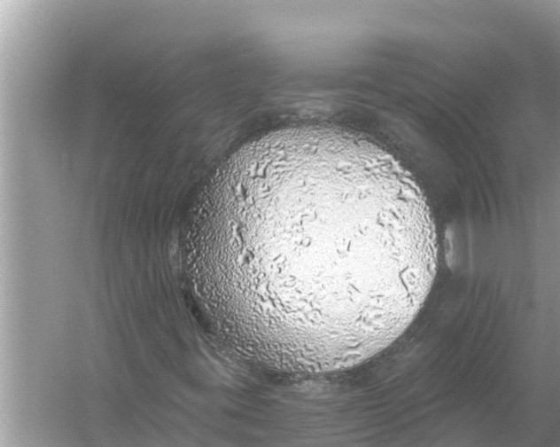 X0000056031395200509170024