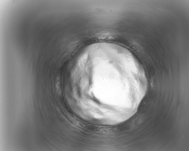 X0000056031396200509170024