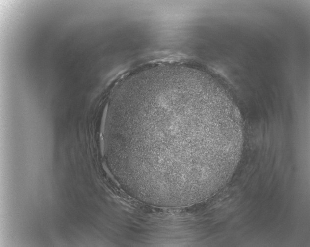 X0000056031399200509170024