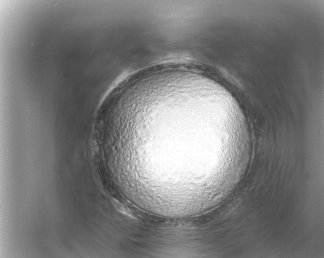 X0000056031400200509170024