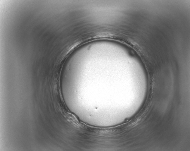 X0000056031401200509170024