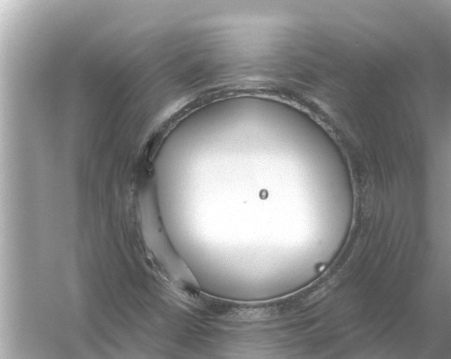 X0000056031402200509170024