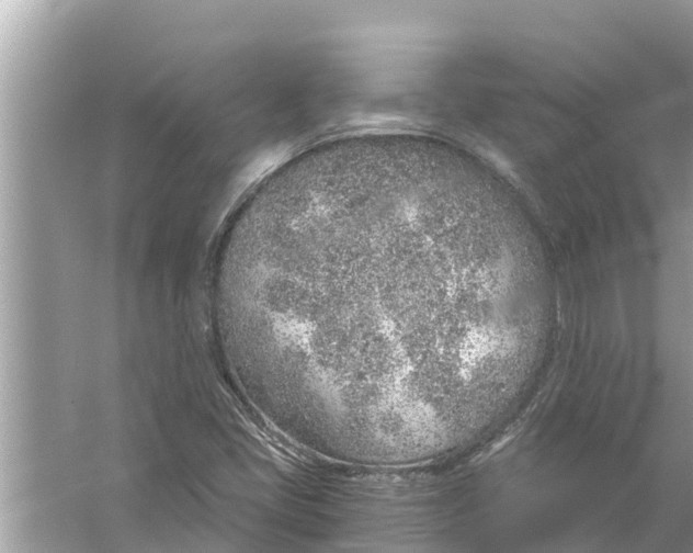 X0000056031405200509170024