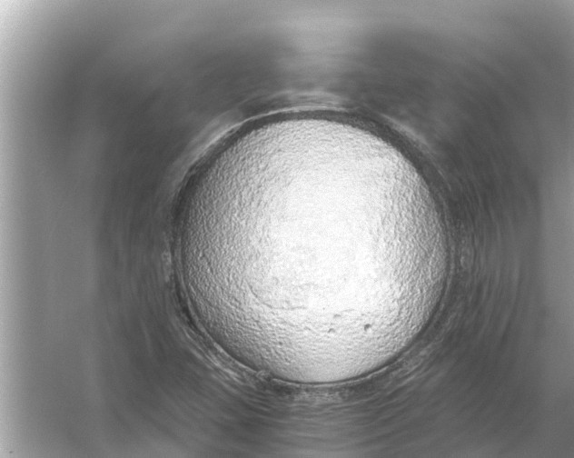 X0000056031407200509170024