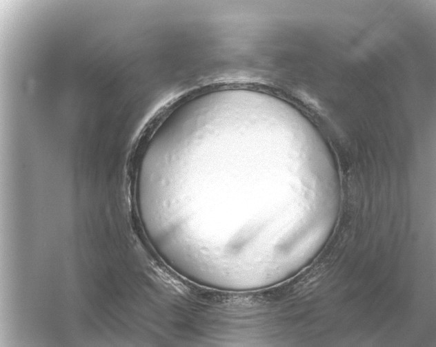 X0000056031408200509170024