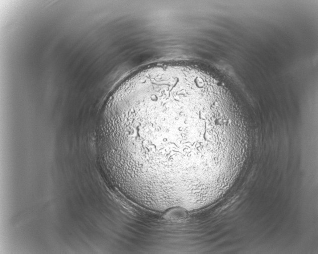 X0000056031409200509170024