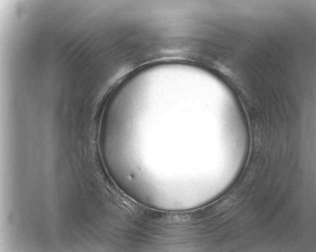 X0000056031411200509170024