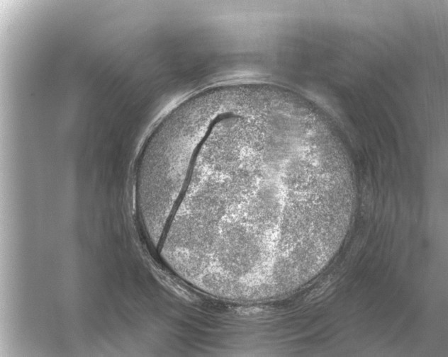 X0000056031413200509170024