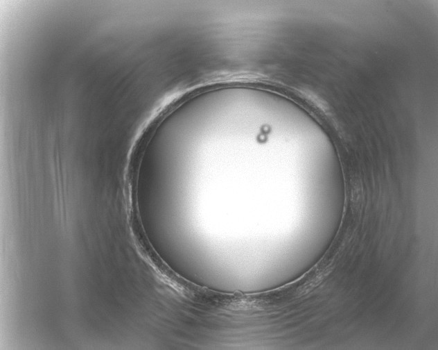 X0000056031414200509170024