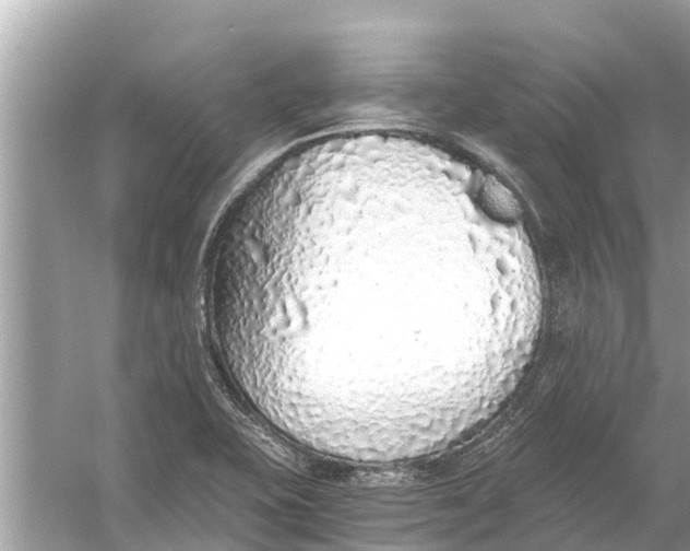 X0000056031415200509170024