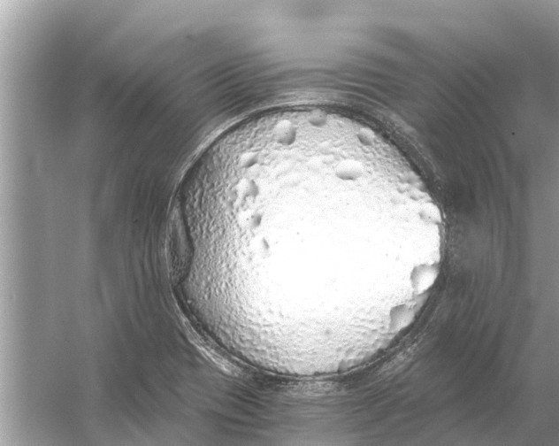 X0000056031417200509170024