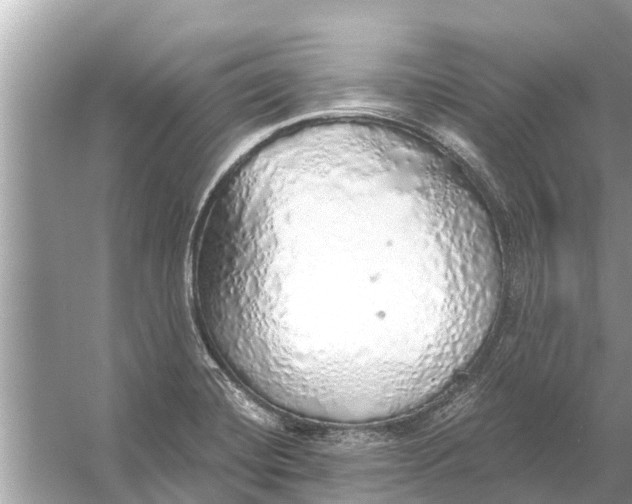 X0000056031420200509170024